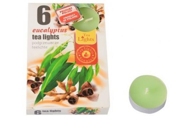 Svíčka čajová vonná EUKALYPTUS (6ks) (hoří 6x3-4hod)
